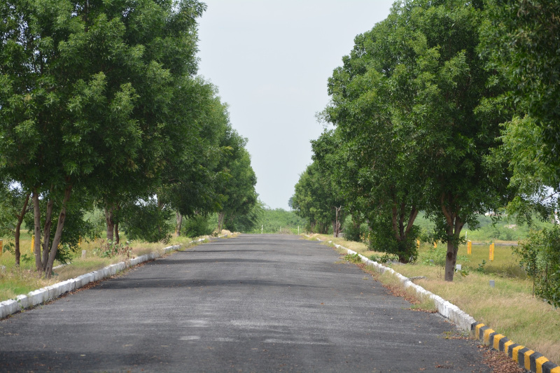  200 Sq. Yards Residential Plot for Sale in Narasaraopet, Guntur