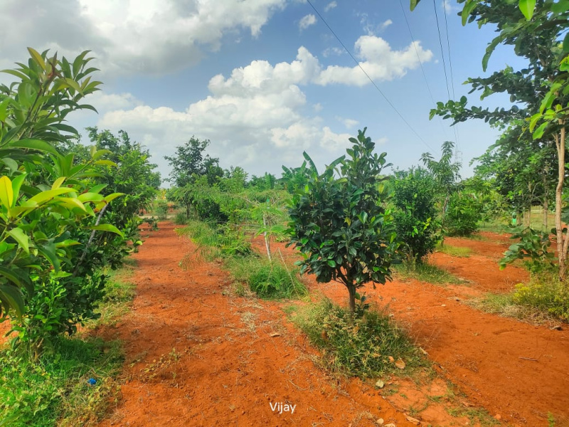  9600 Sq.ft. Agricultural/Farm Land for Sale in Maduranthakam, Chengalpattu