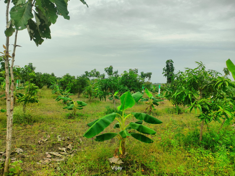  9600 Sq.ft. Agricultural/Farm Land for Sale in Maduranthakam, Chengalpattu