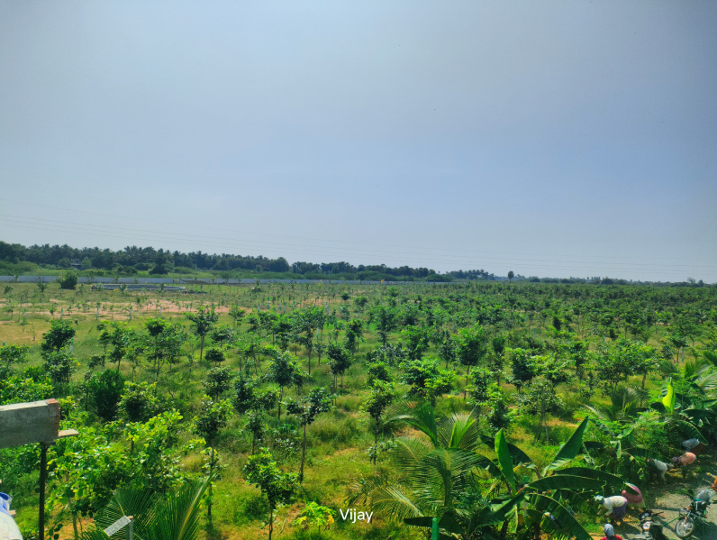  9600 Sq.ft. Agricultural/Farm Land for Sale in Maduranthakam, Chengalpattu