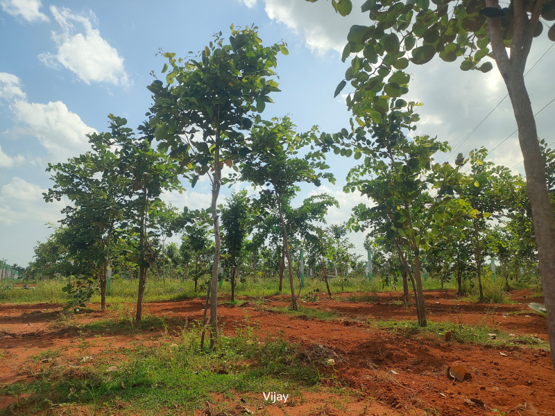  9600 Sq.ft. Agricultural/Farm Land for Sale in Maduranthakam, Chengalpattu