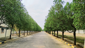  Residential Plot for Sale in Whitefield, Bangalore