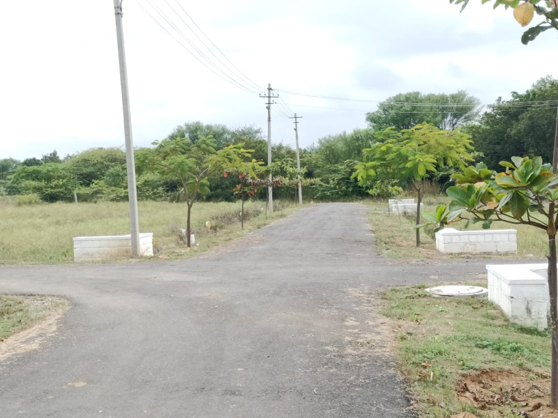  1200 Sq.ft. Residential Plot for Sale in Bagepalli, Bangalore
