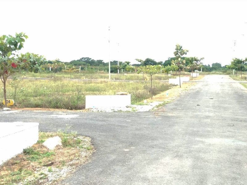  1200 Sq.ft. Residential Plot for Sale in Bagepalli, Bangalore