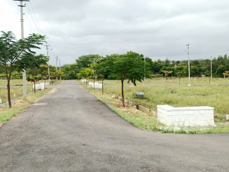  1200 Sq.ft. Residential Plot for Sale in Bagepalli, Bangalore