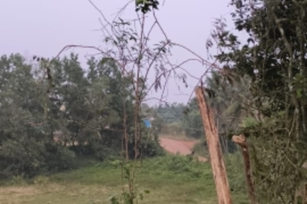  4 Acre Residential Plot for Sale in Bantwal, Dakshin Kannad