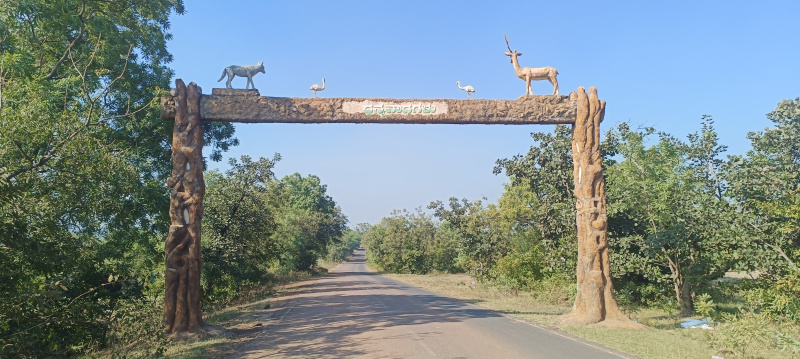  14 Acre Agricultural/Farm Land for Sale in Chincholi, Gulbarga