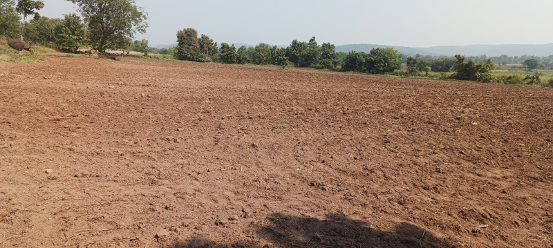 14 Acre Agricultural/Farm Land for Sale in Chincholi, Gulbarga