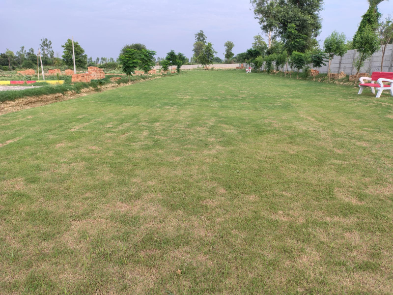  2000 Sq.ft. Residential Plot for Sale in Sultanpur Road, Lucknow