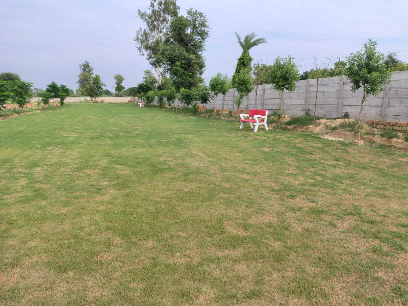  2000 Sq.ft. Residential Plot for Sale in Sultanpur Road, Lucknow