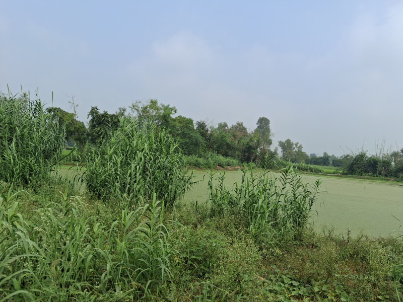 Haidergarh, Barabanki photo 4