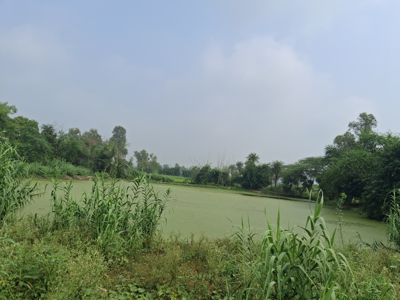 Haidergarh, Barabanki photo 5