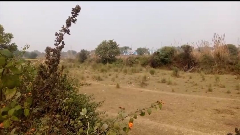  3 Bigha Agricultural/Farm Land for Sale in Raipur Kukhat, Kanpur Dehat