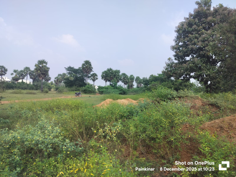  24827 Sq.ft. Residential Plot for Sale in Cheyyar, Tiruvannamalai