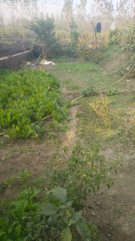 Residential Plot for Sale in Nagla, Udham Singh Nagar