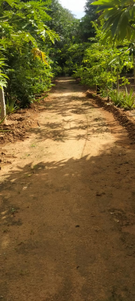 Gorantla, Anantapur photo 5