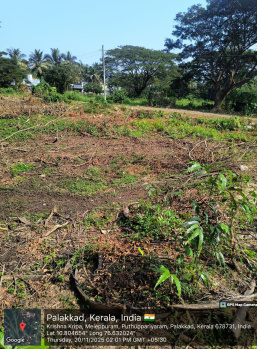  Residential Plot for Sale in Olavakkode, Palakkad