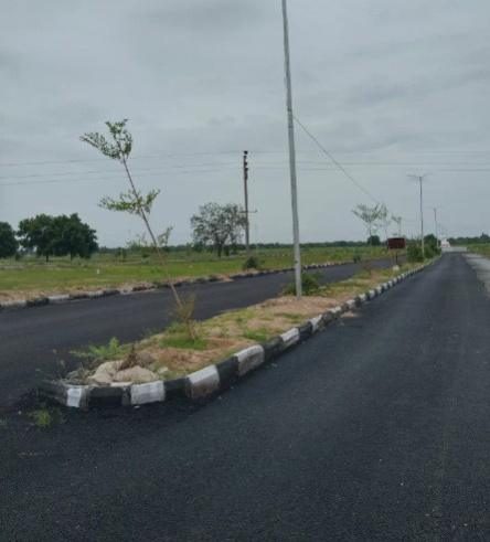  279 Sq. Yards Residential Plot for Sale in Kolanupaka, Yadadri Bhuvanagiri