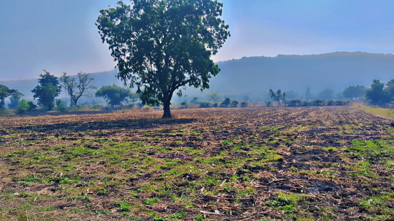 1 BHK 4000 Sq.ft. Farm House for Sale in Khandwa Road, Indore