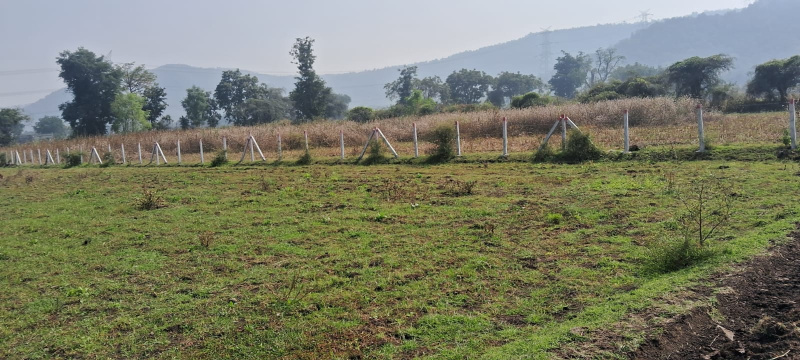 1 BHK 4000 Sq.ft. Farm House for Sale in Khandwa Road, Indore