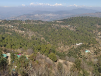 Agricultural Land for Sale in Mukteshwar, Nainital