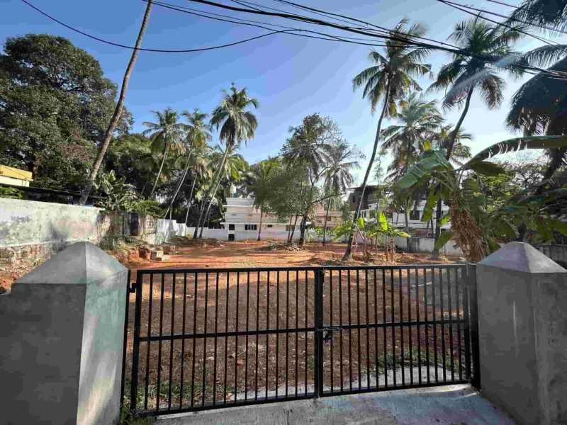  23 Cent Residential Plot for Sale in Ayyanthole, Thrissur