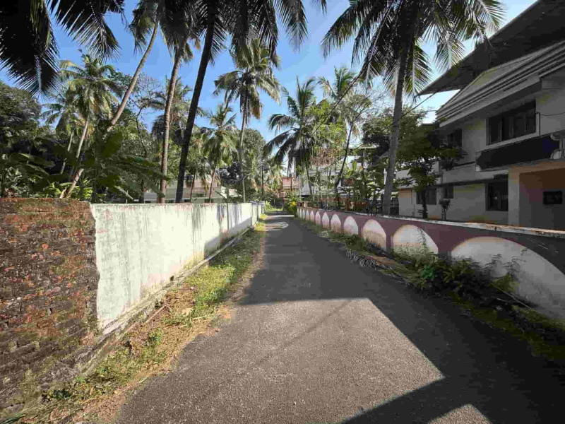  23 Cent Residential Plot for Sale in Ayyanthole, Thrissur