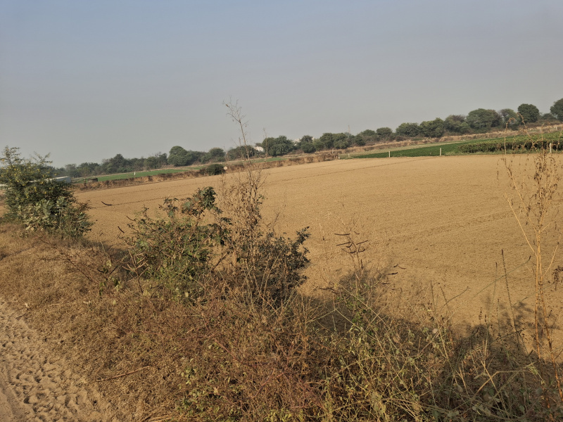  128 Sq. Yards Residential Plot for Sale in Sector 97, Faridabad