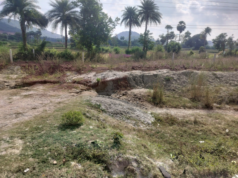  200 Sq. Yards Agricultural/Farm Land for Sale in Kotabommali, Srikakulam