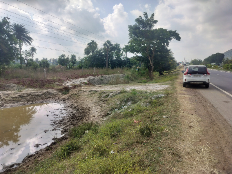  200 Sq. Yards Agricultural/Farm Land for Sale in Kotabommali, Srikakulam