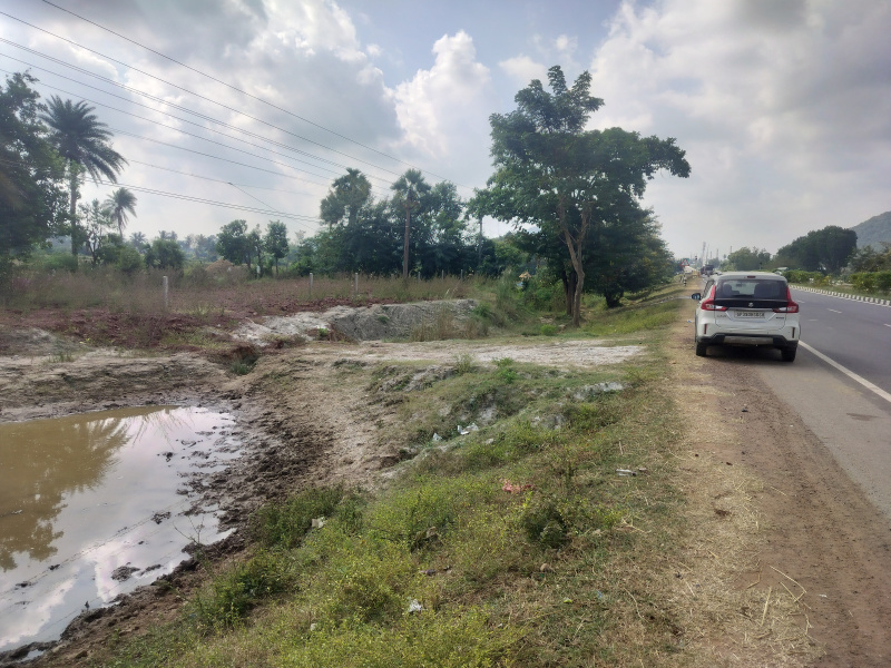  200 Sq. Yards Agricultural/Farm Land for Sale in Kotabommali, Srikakulam