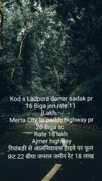  2088 Sq.ft. Residential Plot for Sale in Sojat, Pali