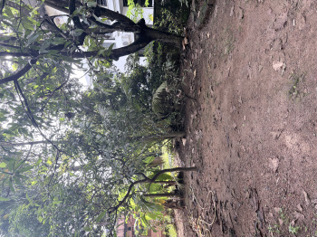 Residential Plot for Sale in Jeppu, Mangalore