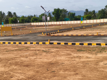 Residential Plot for Sale in Panjapur, Tiruchirappalli