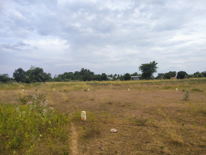  1000 Sq.ft. Residential Plot for Sale in Kilpennathur, Tiruvannamalai