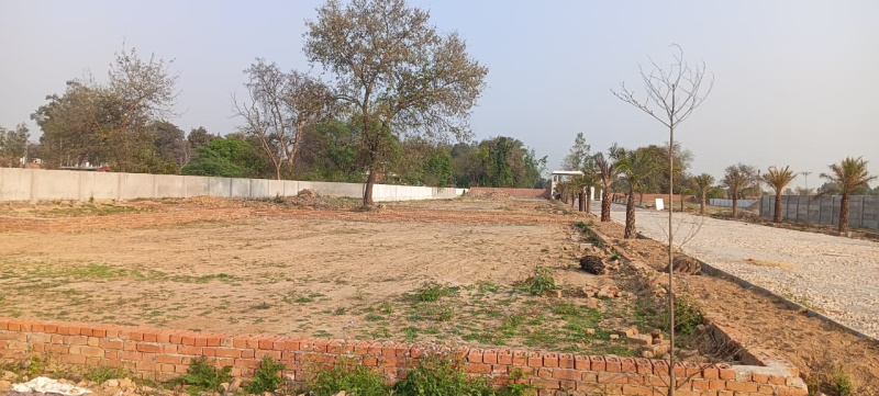  1800 Sq.ft. Residential Plot for Sale in Gosainganj, Lucknow