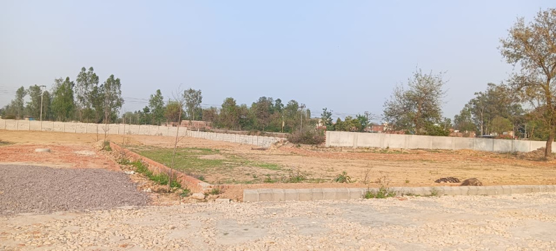  1800 Sq.ft. Residential Plot for Sale in Gosainganj, Lucknow
