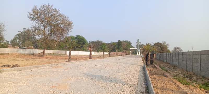  1001 Sq.ft. Residential Plot for Sale in Gosainganj, Lucknow