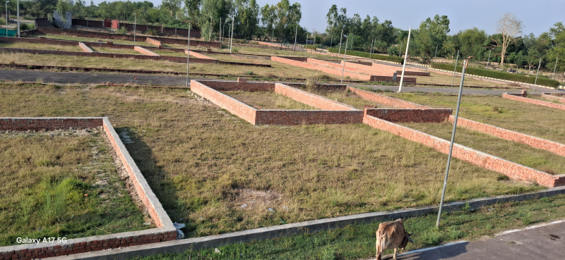  2400 Sq.ft. Residential Plot for Sale in New Jail Road, Lucknow