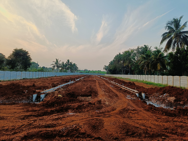  1200 Sq.ft. Residential Plot for Sale in Hessarghatta, Bangalore
