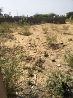  Residential Plot for Sale in Ratangarh Churu
