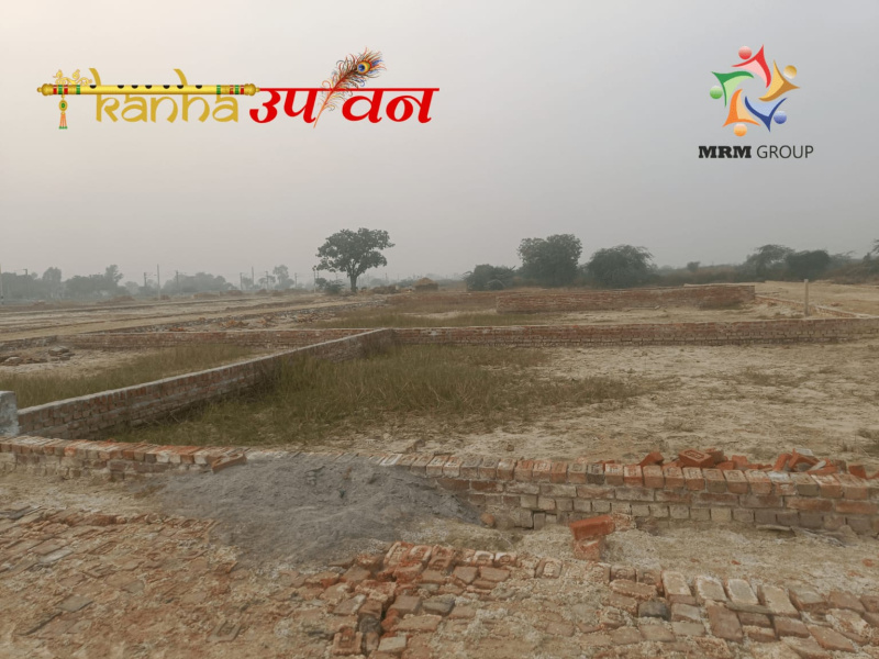  1000 Sq.ft. Residential Plot for Sale in Nigoha, Lucknow