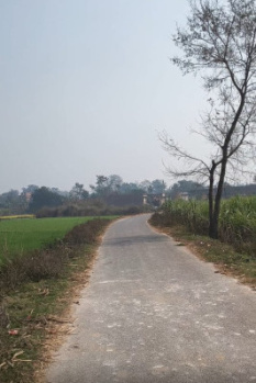  Residential Plot for Sale in Bettiah, Champaran