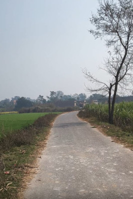  18 Katha Residential Plot for Sale in Bettiah, Champaran