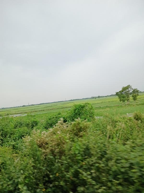 Saraiya, Muzaffarpur photo 3