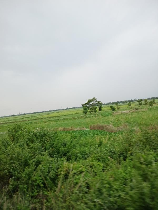 Saraiya, Muzaffarpur photo 4