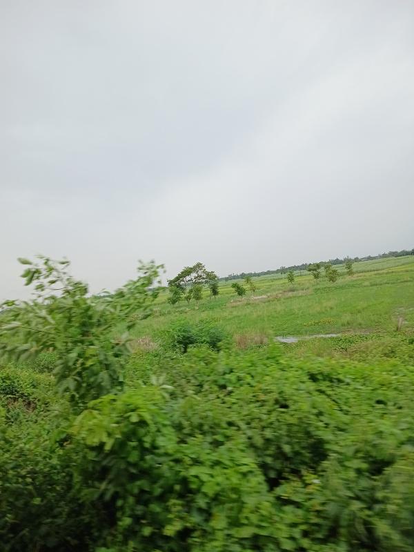 Saraiya, Muzaffarpur photo 5