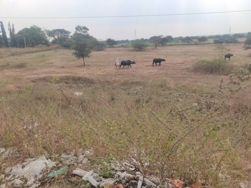  1000 Sq.ft. Commercial Land for Sale in Kumbhari, Solapur