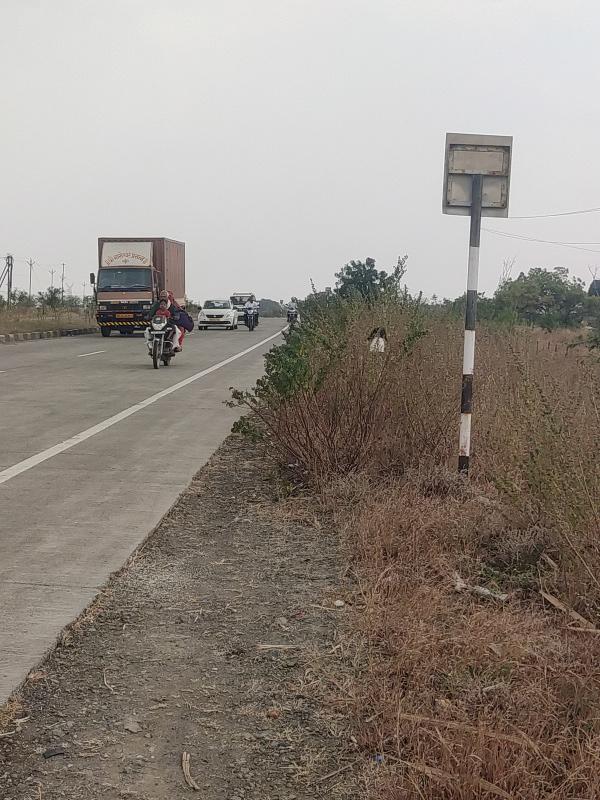  1000 Sq.ft. Commercial Land for Sale in Kumbhari, Solapur