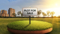  Residential Plot for Sale in Dholera, Ahmedabad